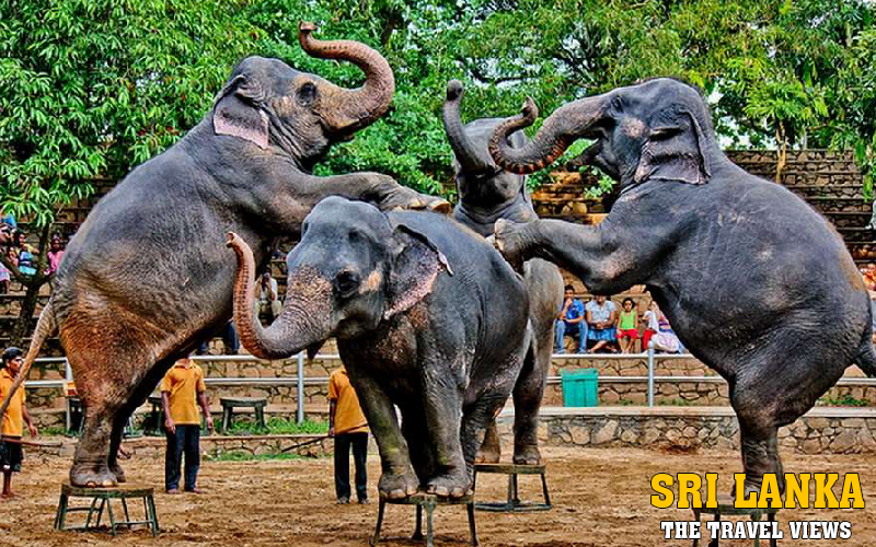 Dehiwala Zoo